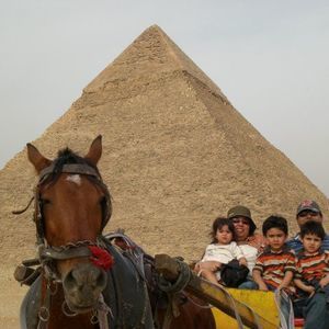 Meet your Posher, Moheb